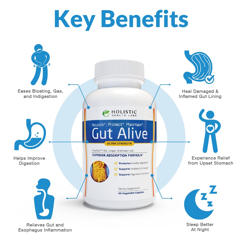 Holistic Health Labs Gut Alive Digestive Support - 60 Capsules - image 4