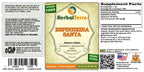 Herbal Terra LLC Espinheira Santa, Cancerosa (Maytenus Ilicifolia)