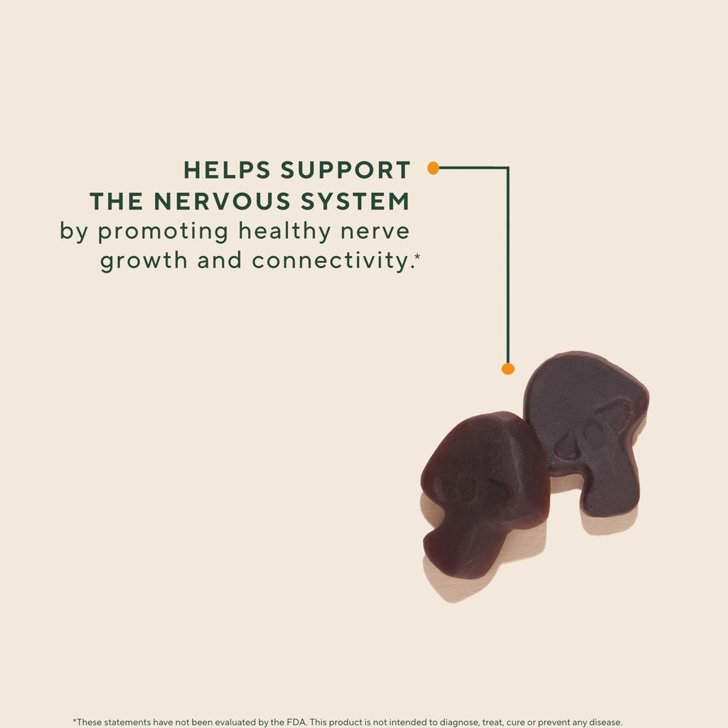 OM MUSHROOM SUPERFOOD Mushroom Gummies
