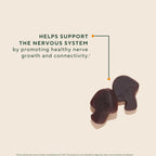 OM MUSHROOM SUPERFOOD Mushroom Gummies