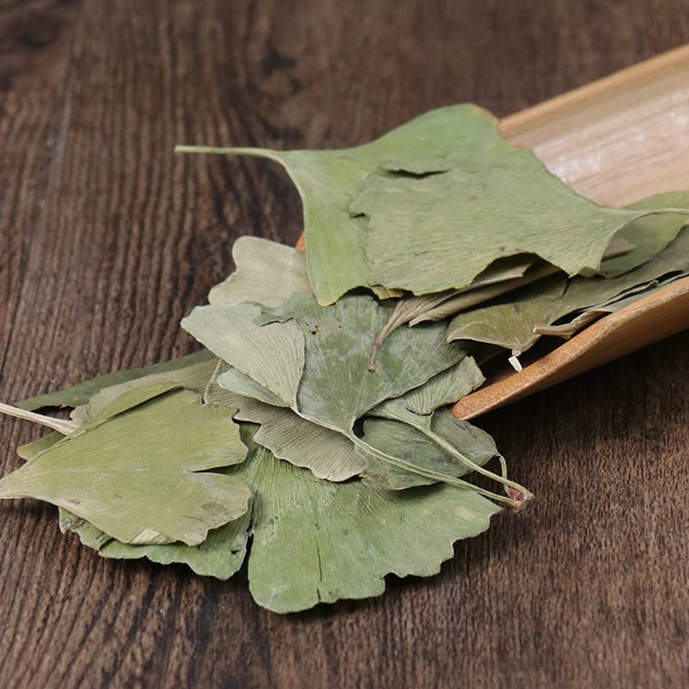 Generic Dried Ginkgo Biloba Leaves - 1000 Grams - image 3