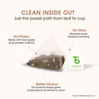Teabox Ashwagandha Green Tea - 25 Teabags - image 4