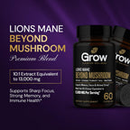 grow vitamin Organic Lion's Mane Brain Booster - 60 Vegetarian Capsules - image 2