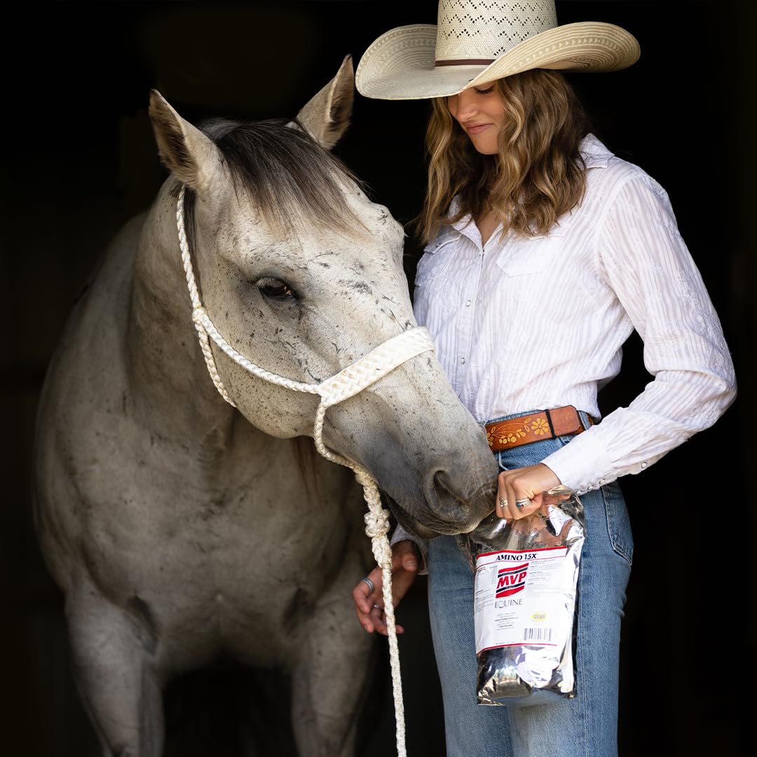 MVP Amino 15X Muscle Support Powder for Horses - 1.5lb - image 4
