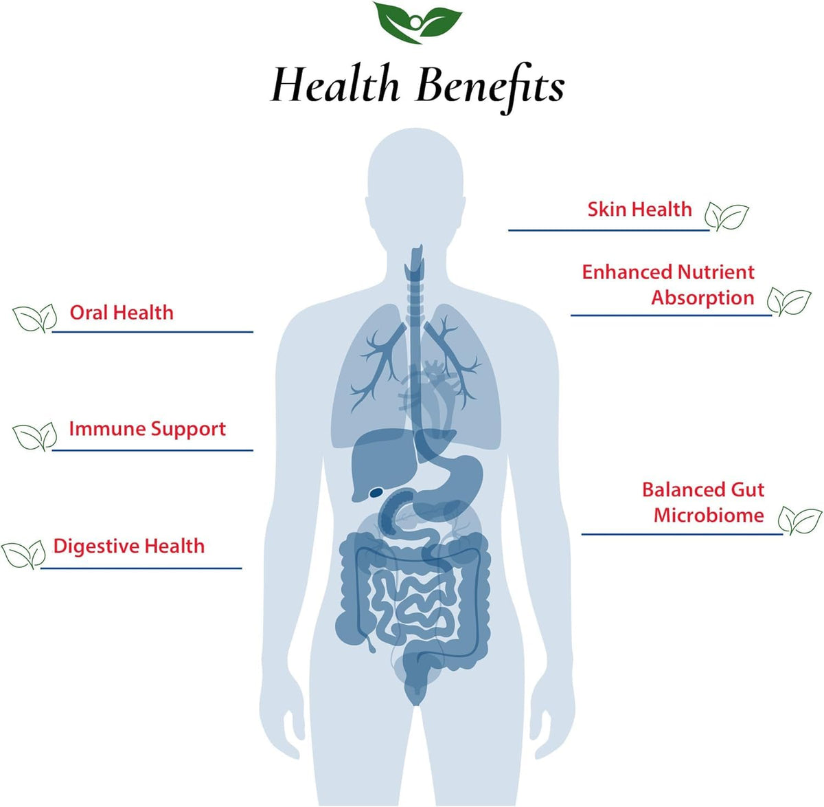 Foods For Gut Lactobacillus Johnsonii Probiotic Powder 100 Billion