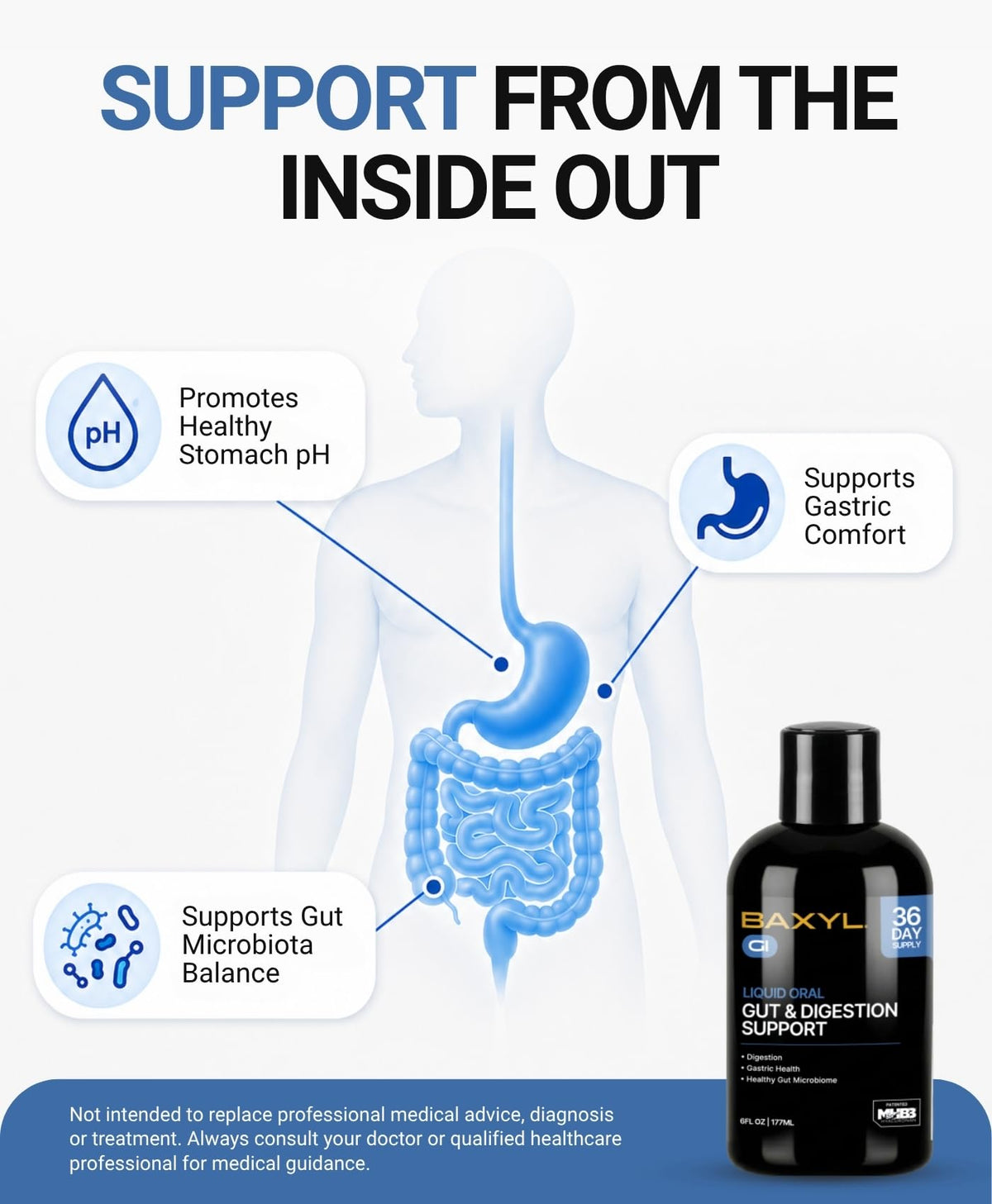BAXYL GI Liquid Digestion Supplement with Hyaluronan - 6 Fl Oz - image 4