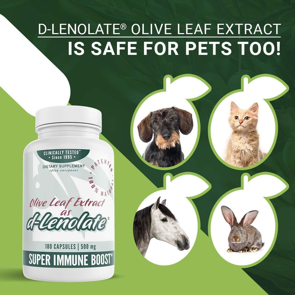 EAST PARK d-Lenolate Olive Leaf Extract Immune Support - 180 Capsules - image 3