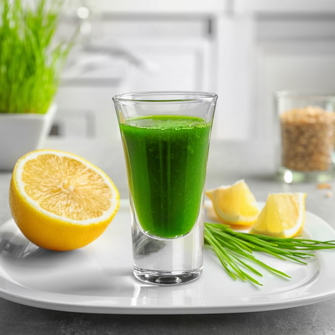 Jovvily Wheat Grass Powder - Superfood - No Fillers - Smoothies