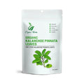 Generic Kalanchoe Pinnata Dried Organic Leaves - 200 Leaves