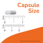 NOW Optimal Digestive System Enzymes - 90 Vegetarian Capsules - image 3