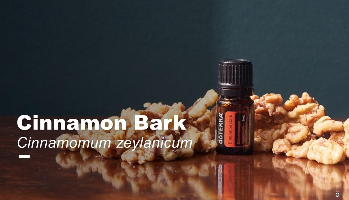 doTERRA Cinnamon Essential Oil - 5 ml - image 7
