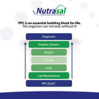 Nutrasal PhosChol PPC Polyenyl Phosphatidylcholine Choline Supplement - 16 Fl Oz - image 4