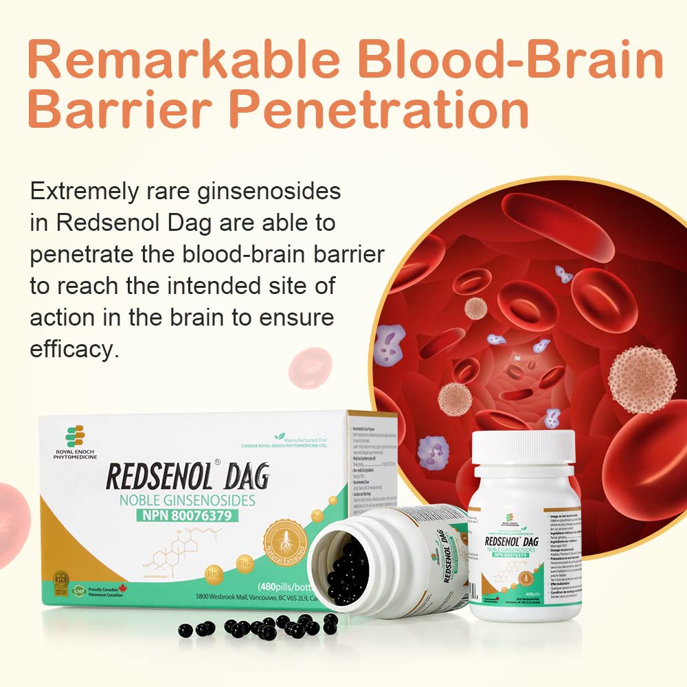 REDSENOL DAG Sublingual Ginseng Extract - 960 Pills - image 6