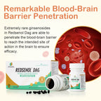 REDSENOL DAG Sublingual Ginseng Extract - 960 Pills - image 6