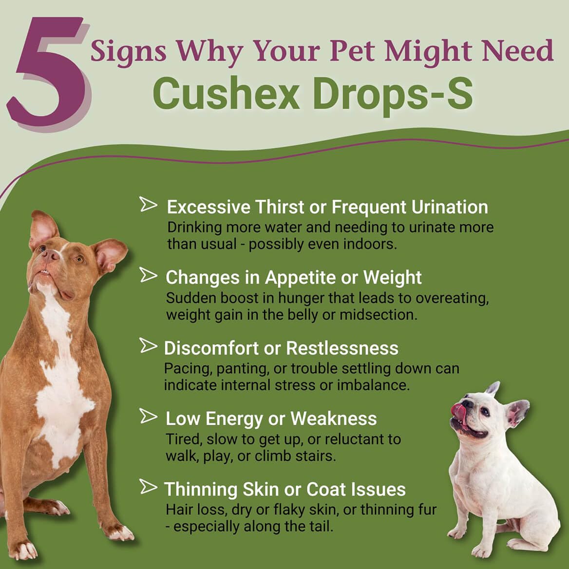 PetAlive Cushex Drops-S Natural Adrenal Support for Dogs - 2 Fl Oz - image 2