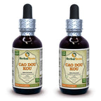 Herbal Terra LLC Cao Dou Kou (Alpinia katsumadai) Tincture