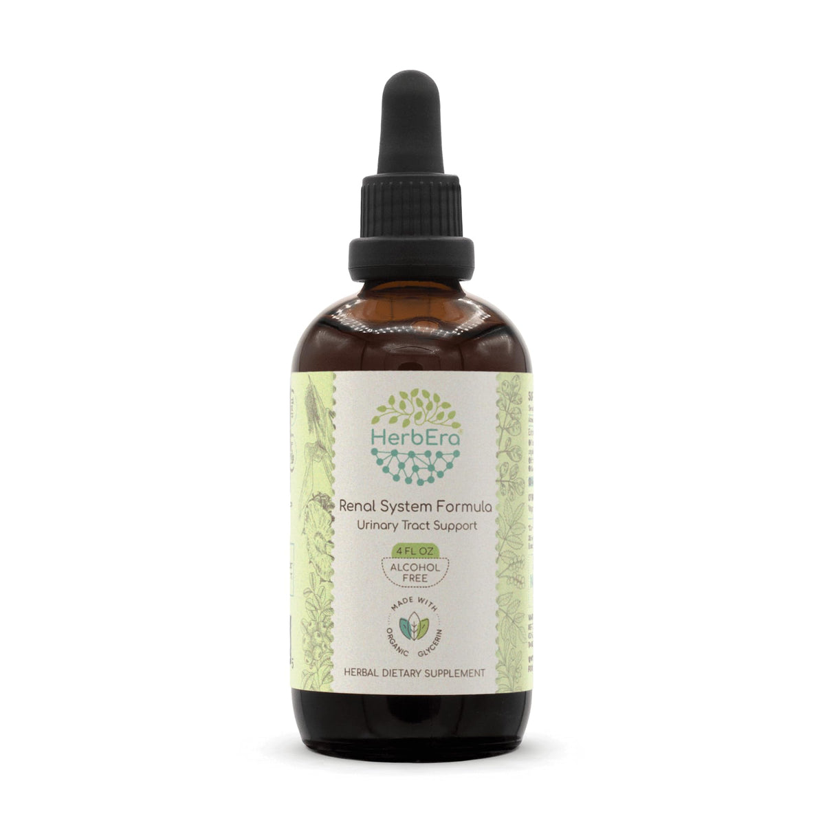 HerbEra Renal System Formula Alcohol-Free Extract Tincture: Cranberry