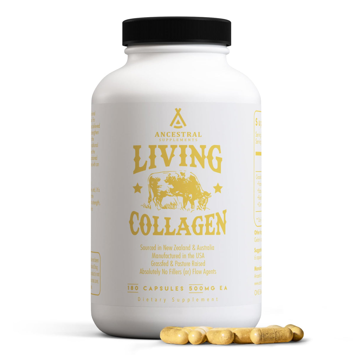 Ancestral Supplements