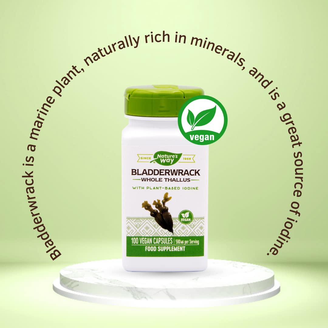 Nature's Way Bladderwrack - 100 Vegetarian Capsules - image 2