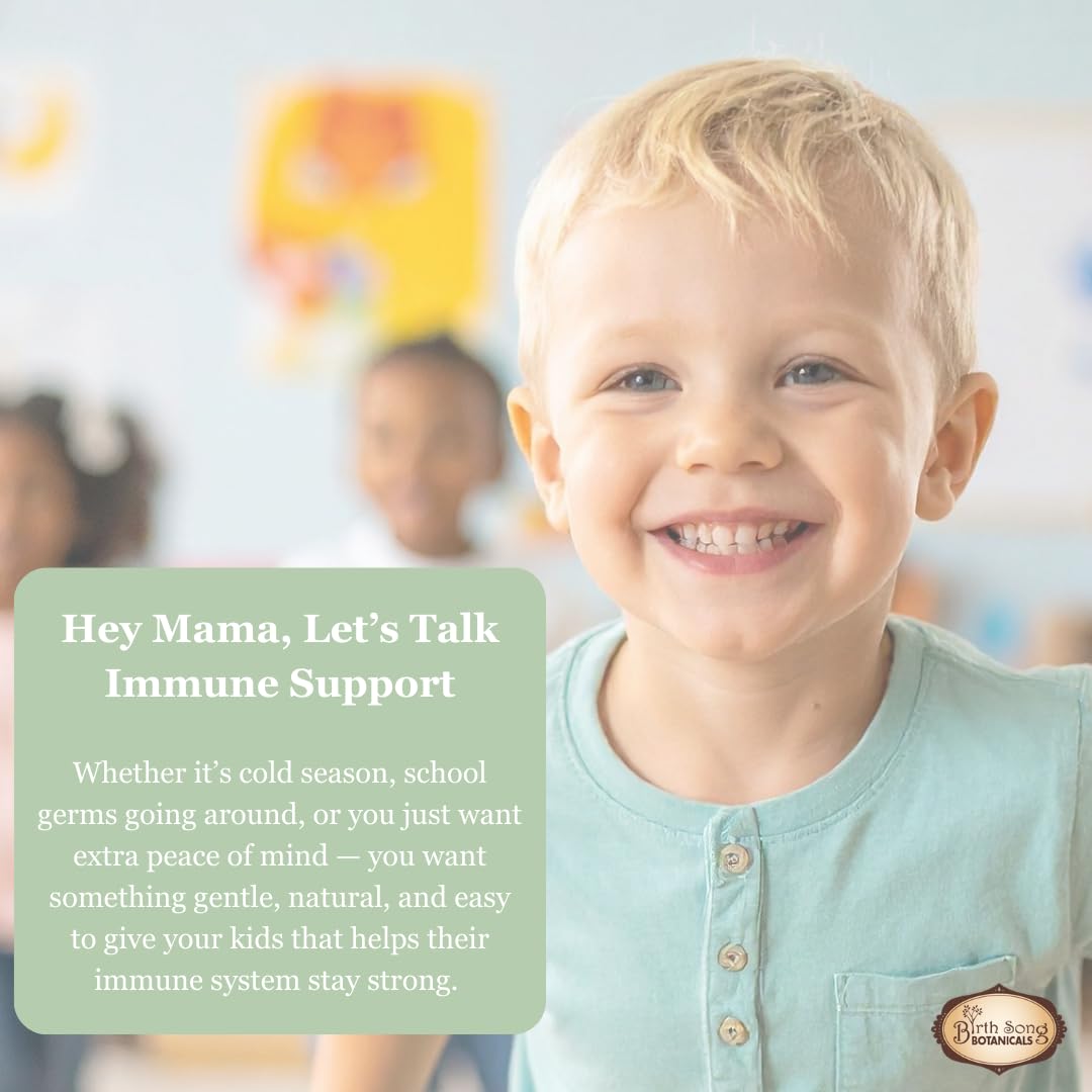 Birth Song Botanicals Children's Immune Boost Tincture - 1 Fl Oz - image 3