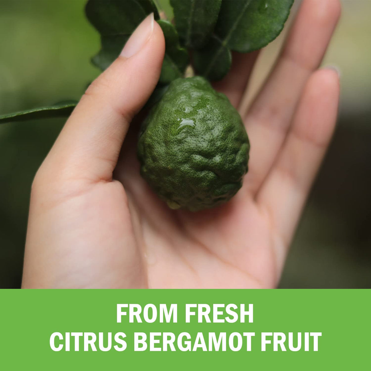 BioSchwartz Citrus Bergamot 1000mg - 120 Capsules - image 4