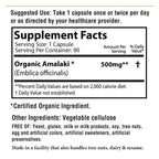 AyurBest Amalaki Herbal Supplement 500mg Organic - 90 Capsules - image 5