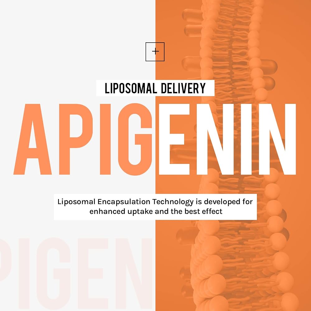 Cenffitio Liposomal apigenin 500mg Softgels - Optimal Apigenin - image 6