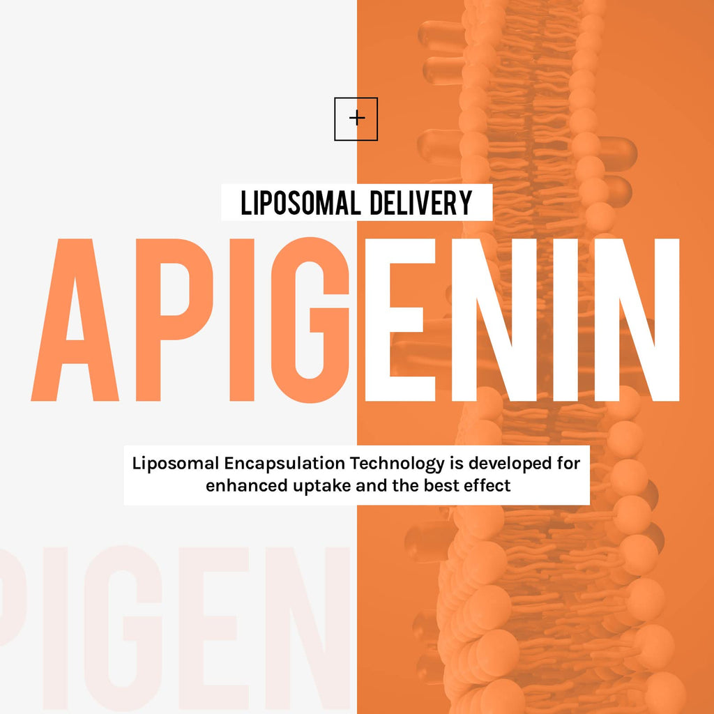 Cenffitio Liposomal apigenin 500mg Softgels - Optimal Apigenin