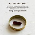 Solgar Full Spectrum Curcumin - 90 Softgels - image 4