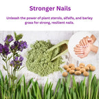 nutrilevels Hair Skin Nail Capsules with Biotin - 60 Capsules - image 6
