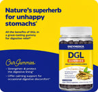 Enzymedica DGL Supplement for Digestive Health - 74 Gummies - image 3