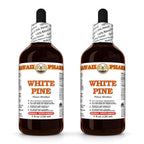 Hawaii Pharm White Pine (Pinus strobus) Bark Liquid Extract