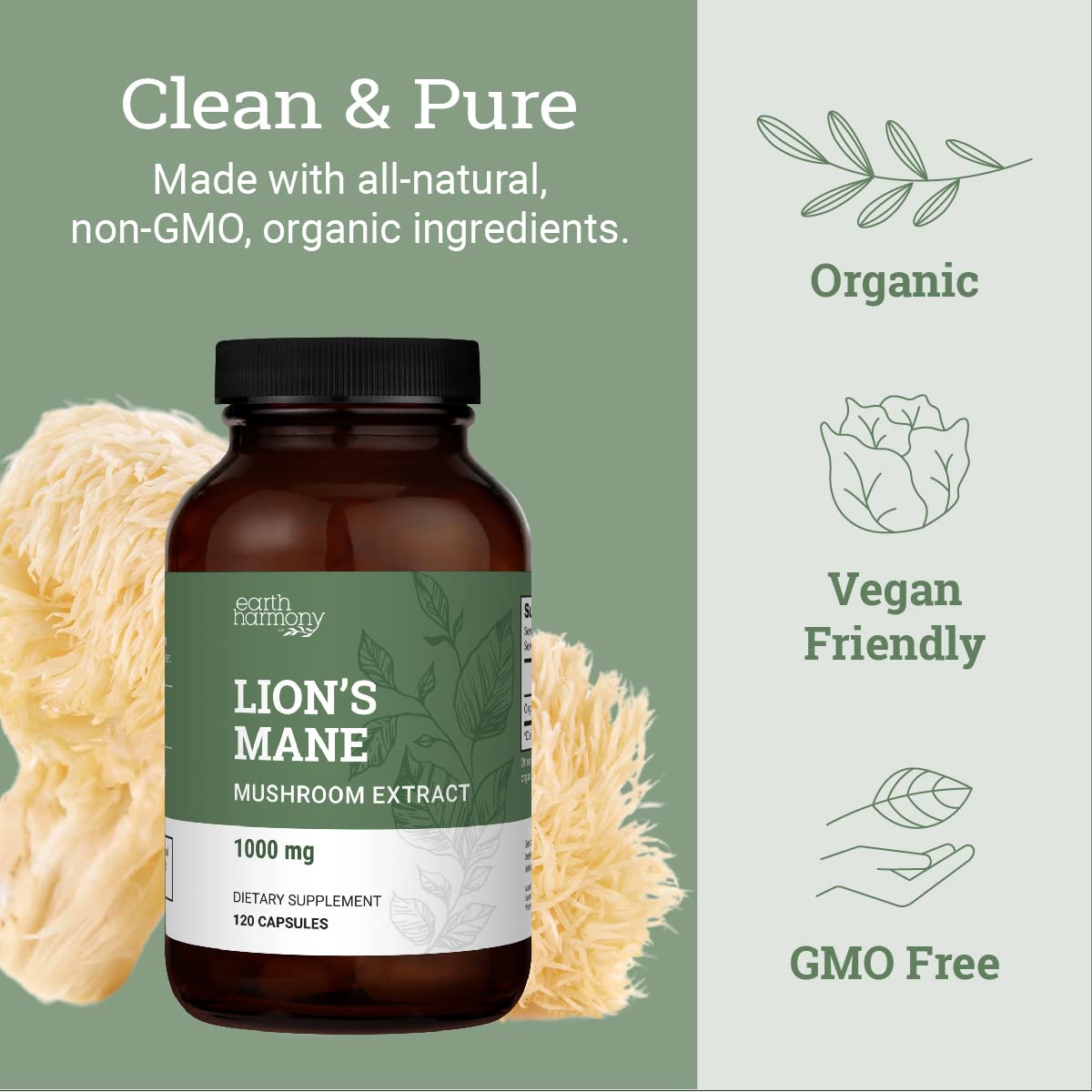 Earth Harmony Naturals Lion's Mane Supplement 1000mg - 120 Capsules - image 4