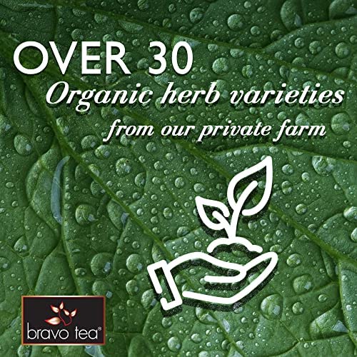 Bravo Tea Triple Detox Herbal Tea Caffeine Free - 20 Tea Bags - image 5