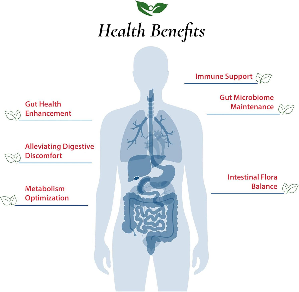 Foods For Gut Bifidobacterium Lactis Probiotic Powder - 30g - image 4