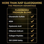 VitaPharm Flexonorm Joint Support Supplement Glucosamine Complex - 60 Capsules - image 4