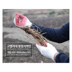 Sanmaeul Korean Pear Platycodon Extract Ginger Concentrate - 30 Sticks - image 4