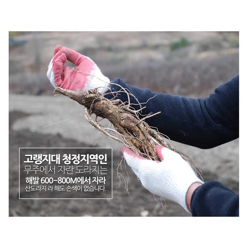 Sanmaeul Korean Pear Platycodon Extract Ginger Concentrate - 30 Sticks - image 4