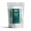 AYURFOREST Papaya Leaf Powder - 16 oz