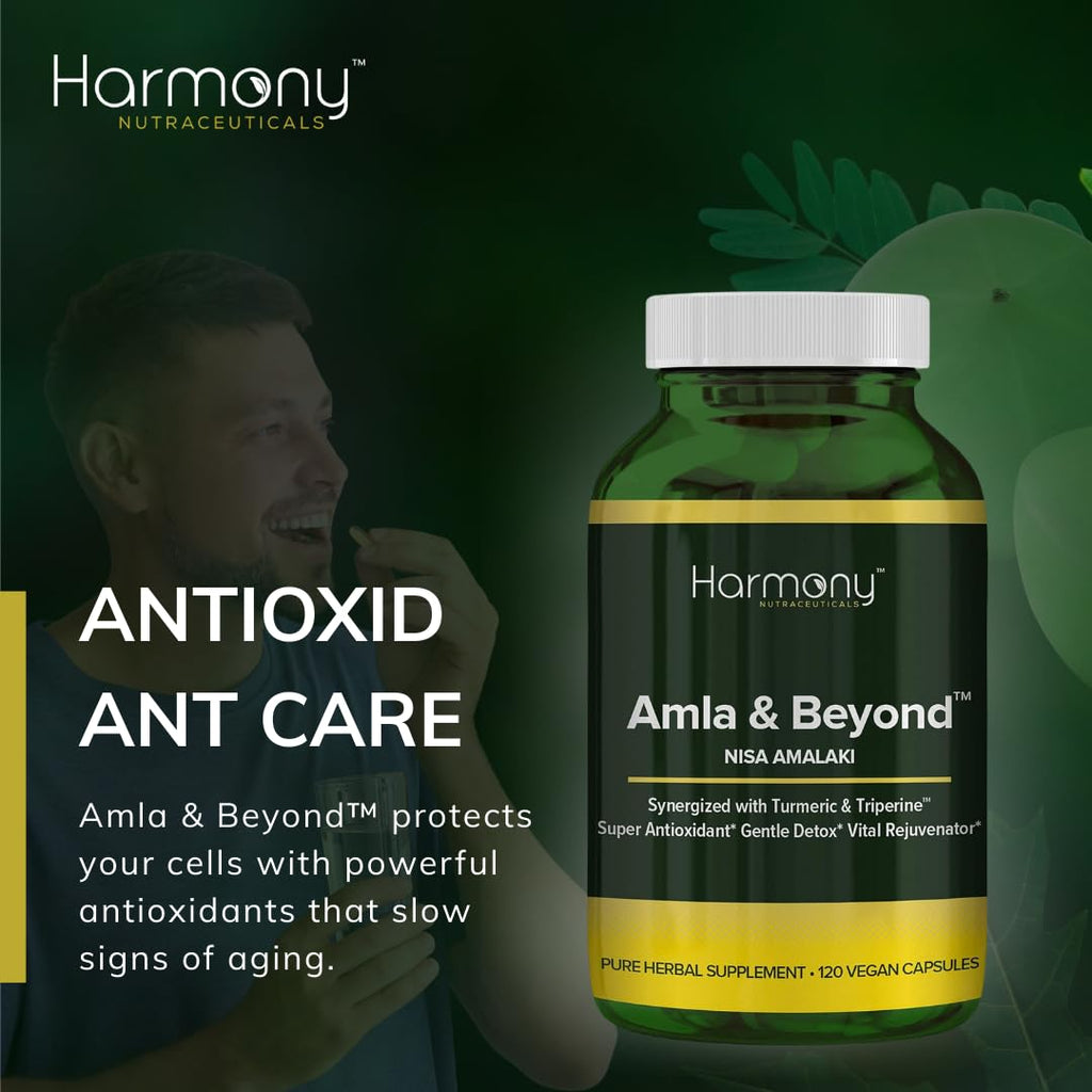 Harmony Nutraceuticals Amla & Beyond Ayurvedic Herbal Formula - image 2