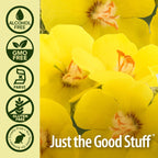 Nature's Answer Mullein Leaf Herbal Supplement - 2 x 1 Fl Oz - image 5