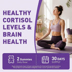 Liekoh Ashwagandha & Lion's Mane Gummies for Brain Health - 60 Count - image 8