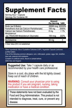 True Healing Naturals Motor Connect Brain Supplement - 60 Vegetarian Capsules - image 2