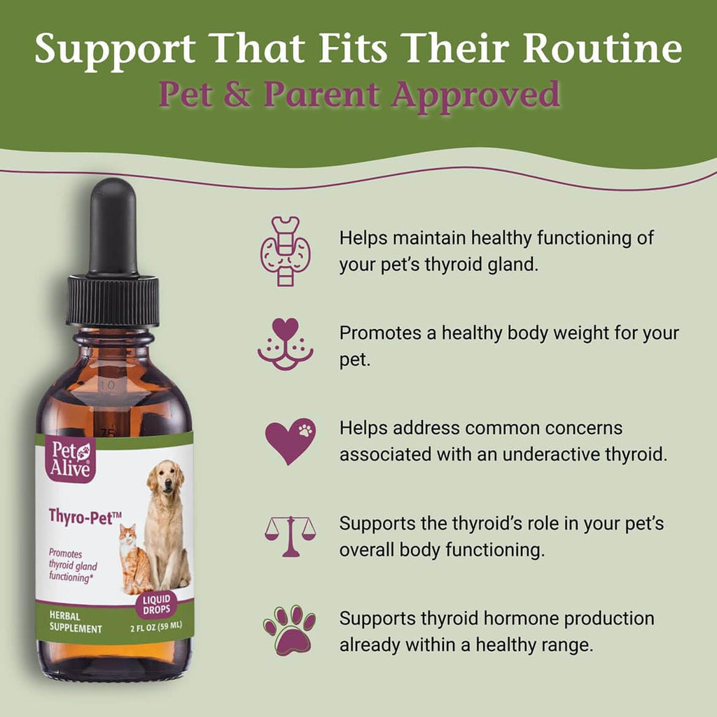 PetAlive Thyro-Pet Herbal Drops for Dog & Cat Thyroid Support - 2 Fl Oz - image 3