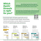 Kyolic Aged Garlic Extract Formula 300 - Cardiovascular Health