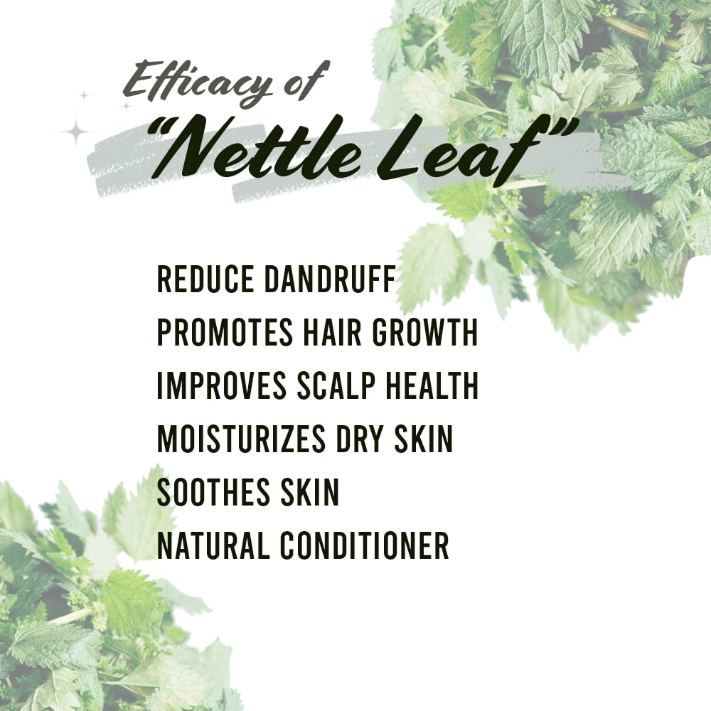 Well's Oil Dried Nettle Leaf Herb for Hair & Skin Care - 0.5 oz - image 3