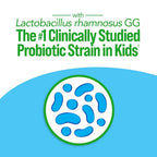 Culturelle Ultimate Strength 20 Billion CFU Kids Probiotic Multivitamin - image 6