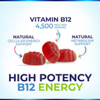 Nature's Nutrition Vitamin B12 Energy Gummies - 4500 mcg Extra