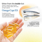 Pet Health Solutions Omega-Caps Extra Strength Large Breeds - 1000 Softgels - image 6