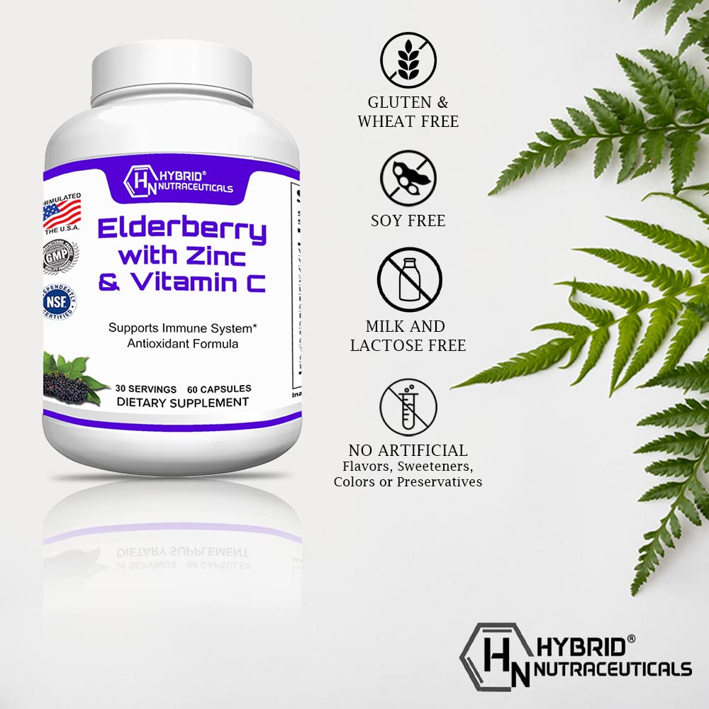 Hybrid Nutraceuticals Black Elderberry Capsules with Echinacea - 60 Capsules - image 3